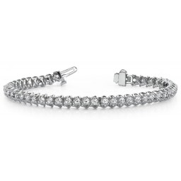 SB946 2 ct illu